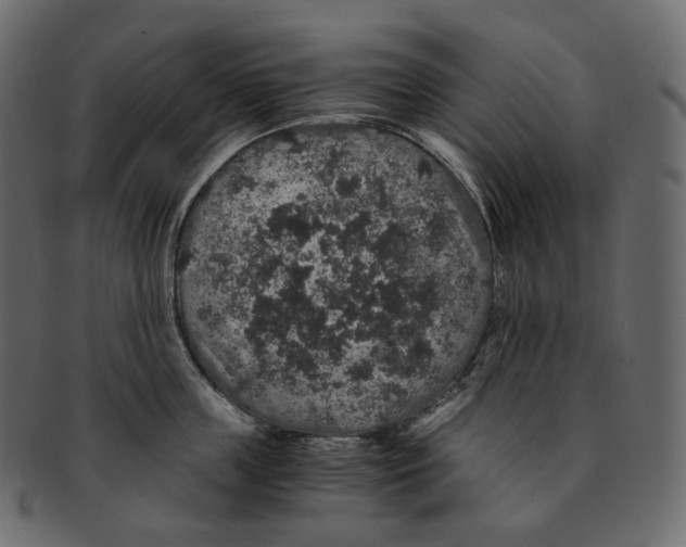 X0000091940859200710031116