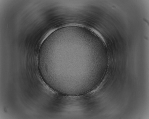 X0000091940860200710031116