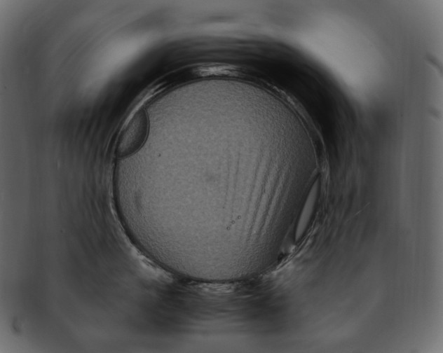 X0000091940861200710031116