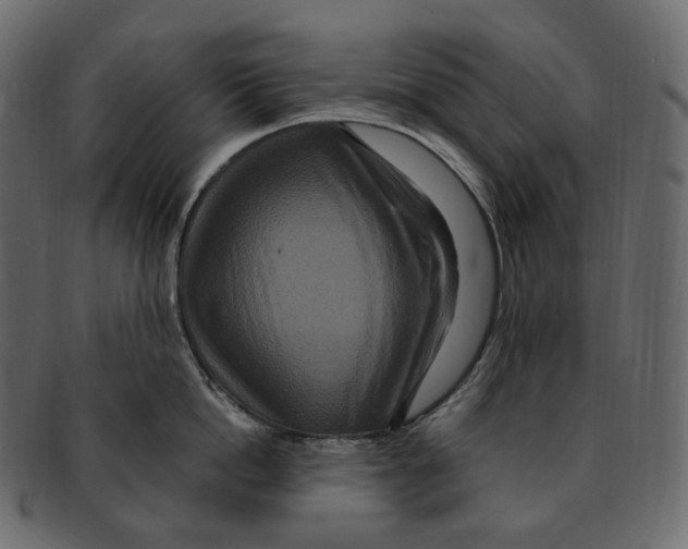 X0000091940862200710031116