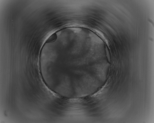 X0000091940863200710031116