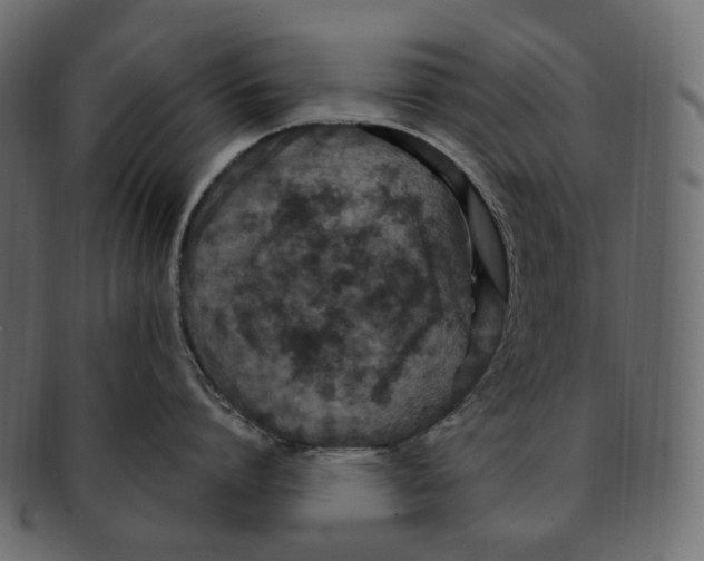 X0000091940864200710031116