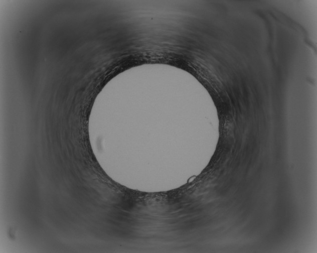 X0000091940865200710031116