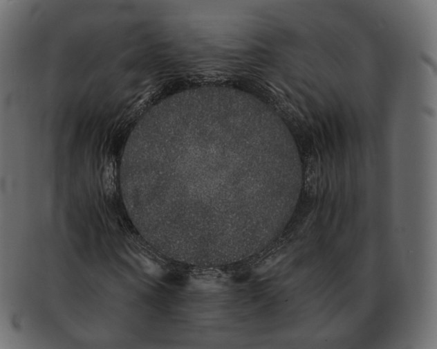 X0000091940866200710031116