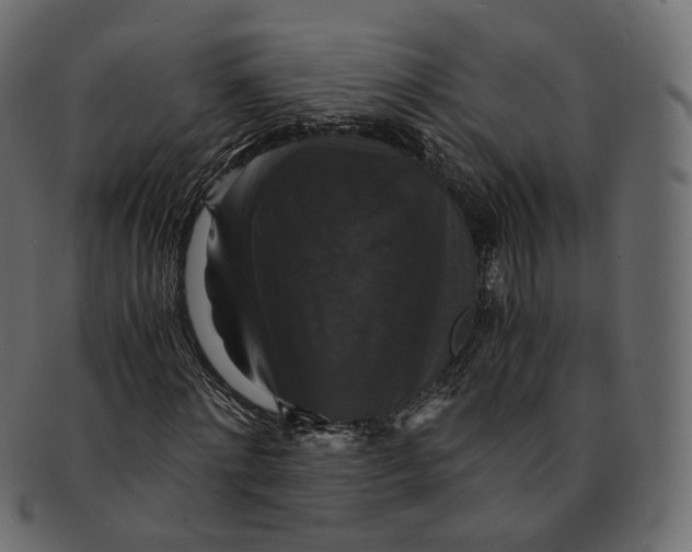 X0000091940868200710031116