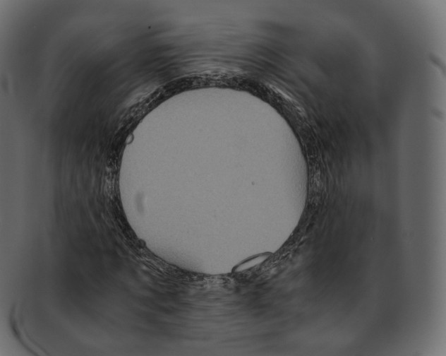 X0000091940869200710031116