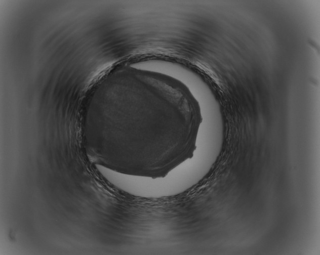 X0000091940872200710031116