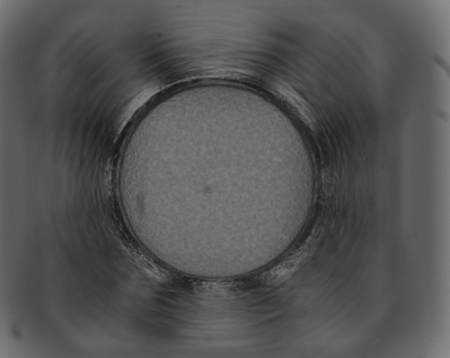 X0000091940875200710031116