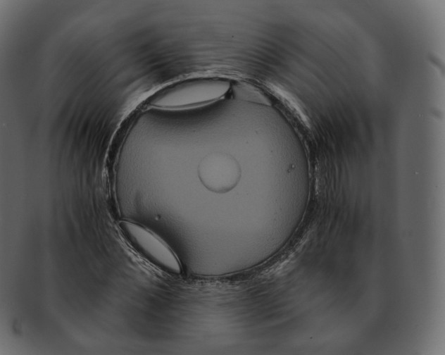 X0000091940876200710031116