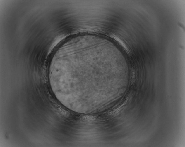 X0000091940878200710031116