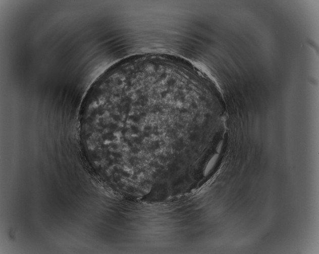 X0000091940879200710031116