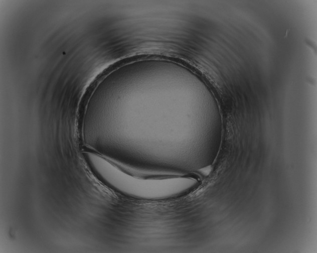 X0000091940880200710031116