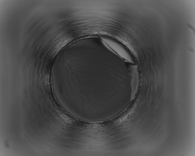 X0000091940881200710031116