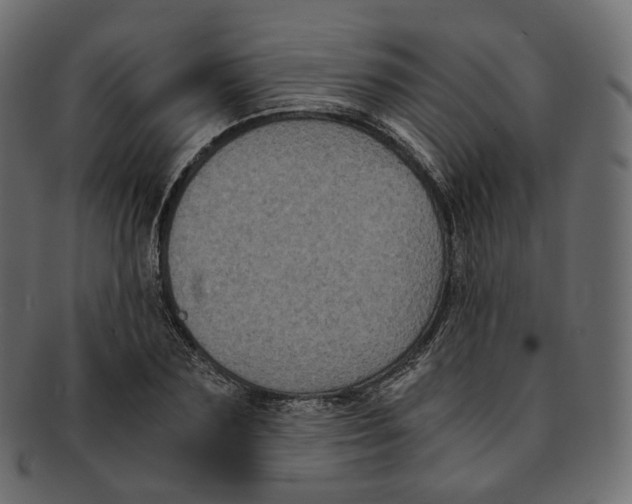 X0000091940883200710031115