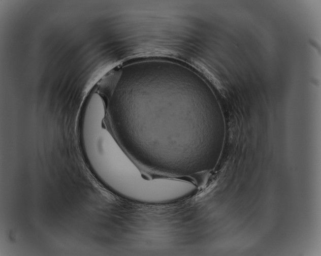 X0000091940885200710031115