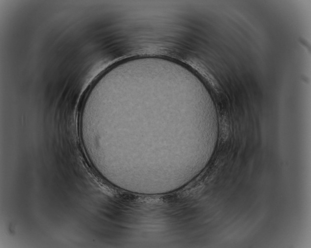 X0000091940886200710031115