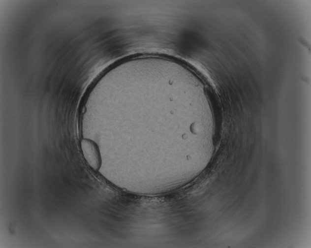 X0000091940887200710031115