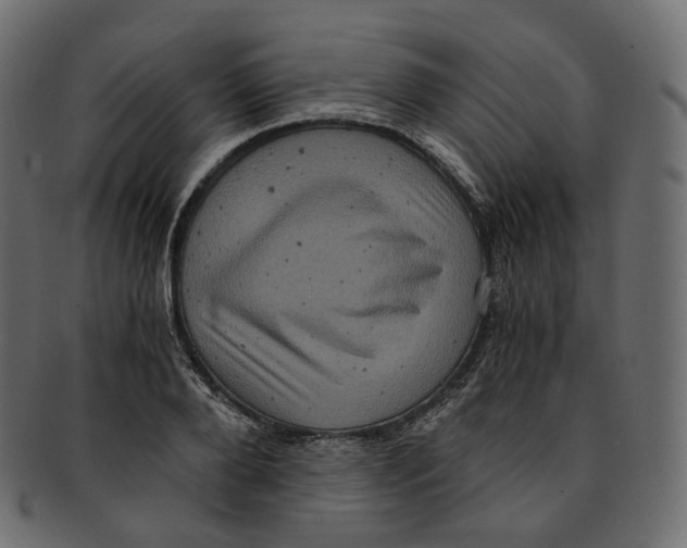 X0000091940888200710031115