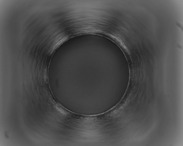 X0000091940889200710031115