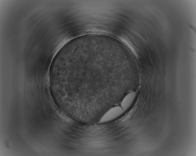 X0000091940891200710031115