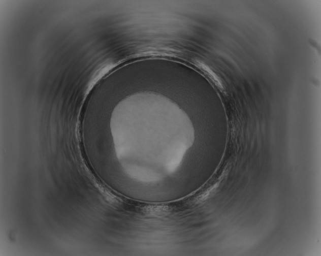 X0000091940893200710031115