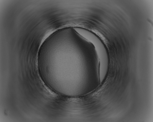 X0000091940894200710031115