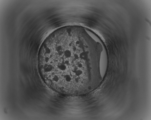 X0000091940895200710031115