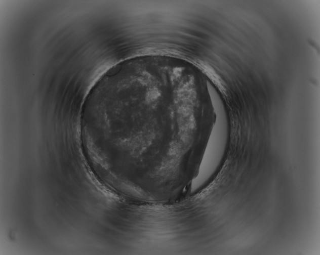 X0000091940896200710031115