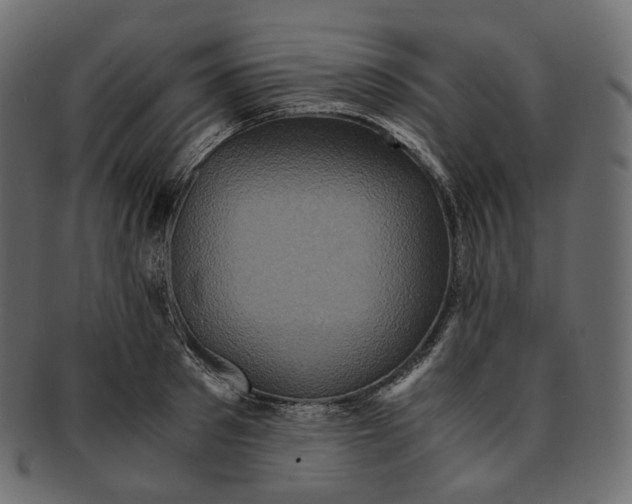 X0000091940897200710031115