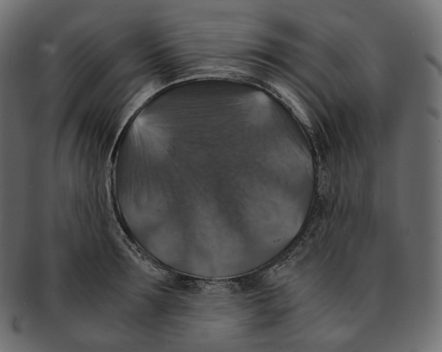 X0000091940899200710031115