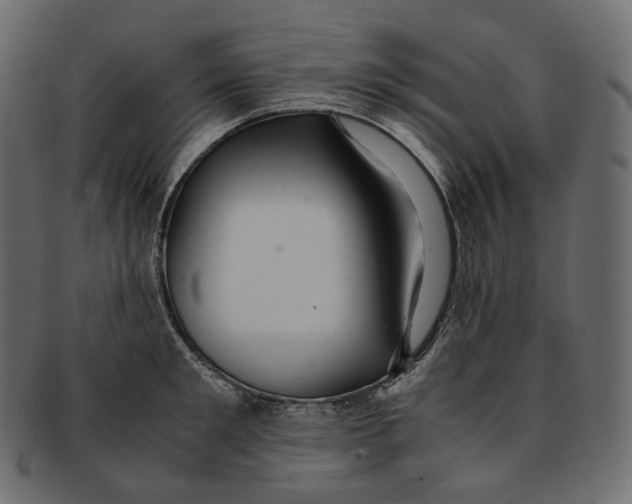 X0000091940901200710031115