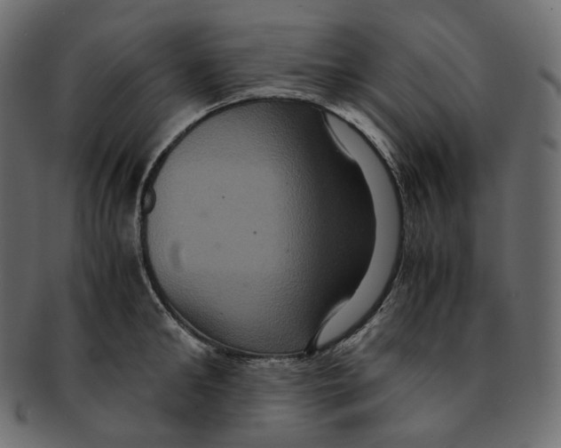 X0000091940902200710031115