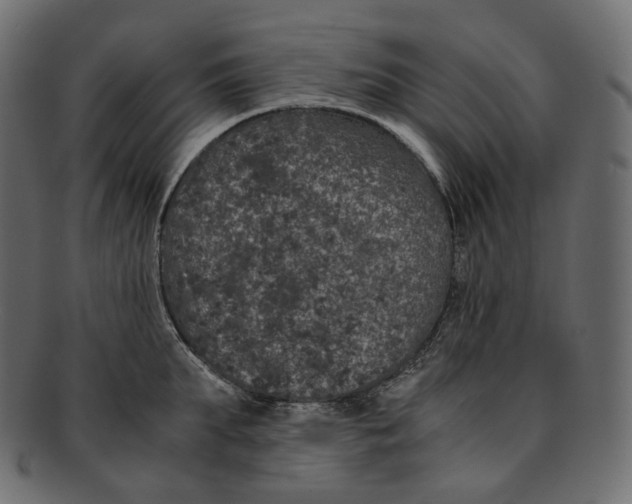 X0000091940903200710031115