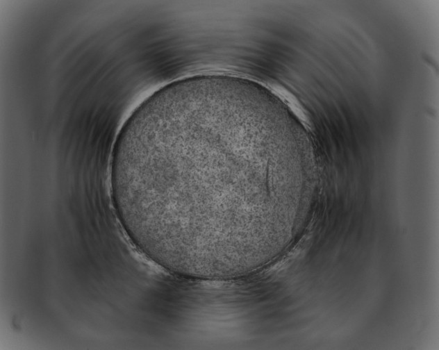 X0000091940904200710031115