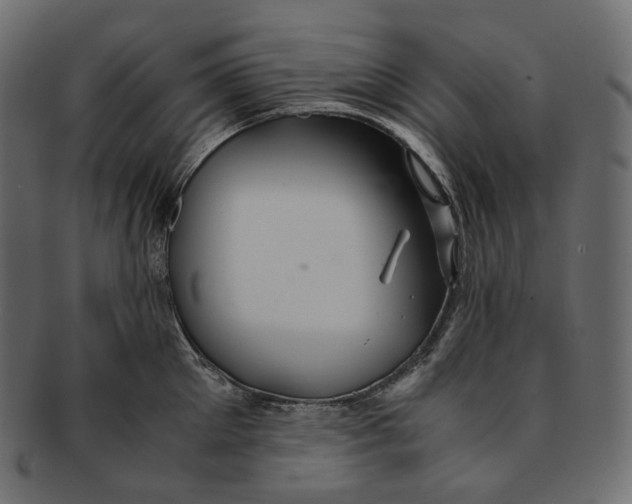 X0000091940905200710031115