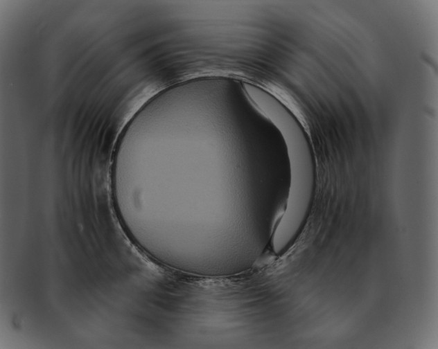 X0000091940906200710031115