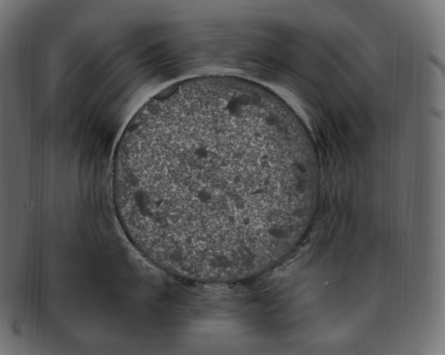 X0000091940911200710031115