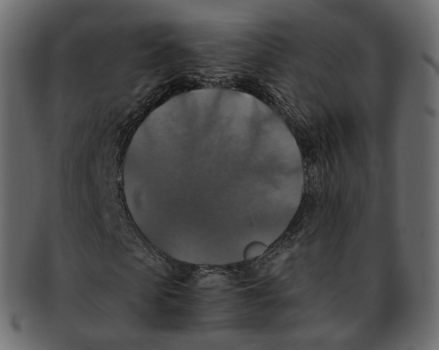 X0000091940913200710031115