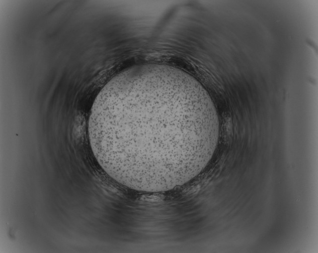 X0000091940914200710031115