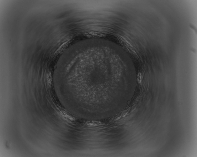 X0000091940915200710031115