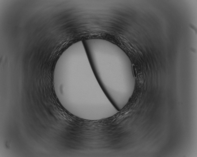 X0000091940916200710031115