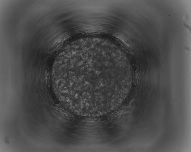 X0000091940917200710031115