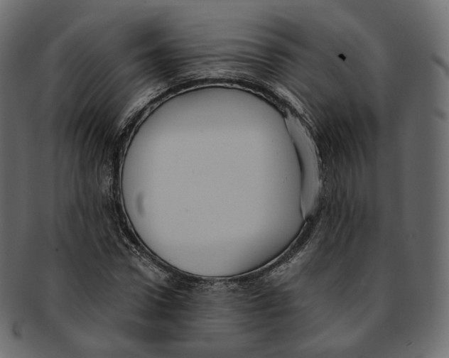 X0000091940922200710031115