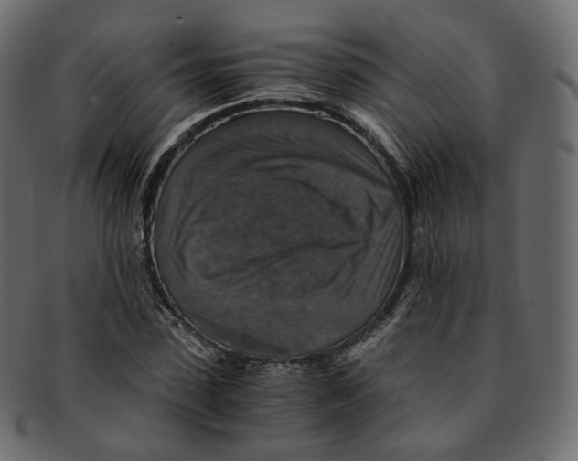 X0000091940923200710031115