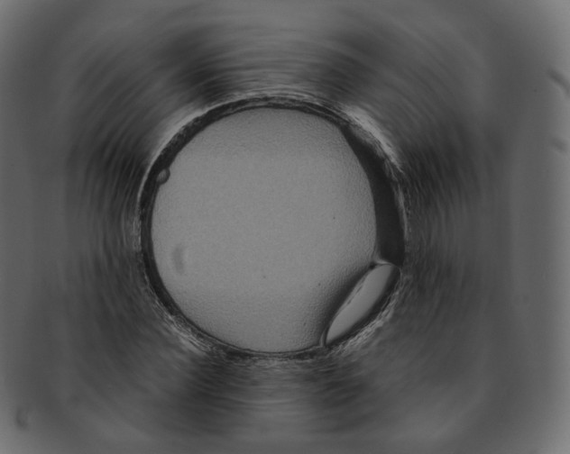 X0000091940924200710031115