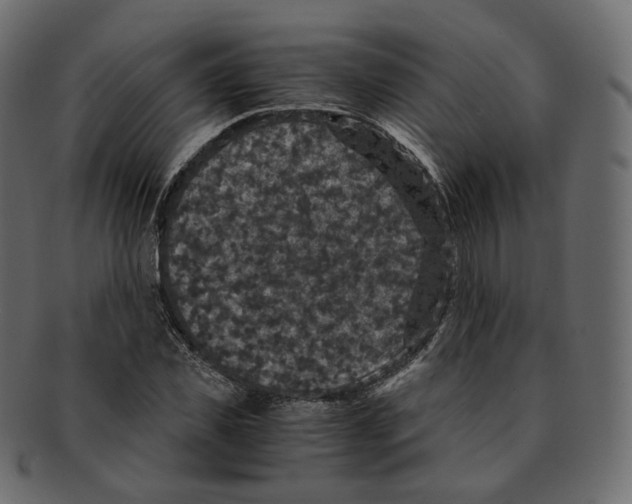 X0000091940925200710031115