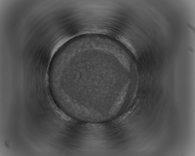 X0000091940928200710031115