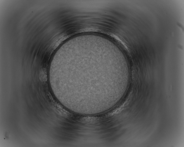 X0000091940929200710031115