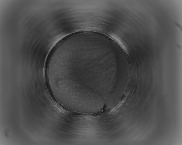 X0000091940932200710031115