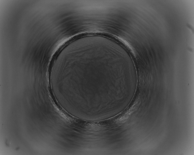 X0000091940935200710031115